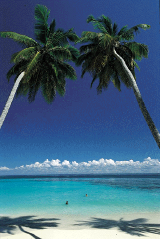 Plage Puerto Plata in Puerto Plata, Dominican Republic, photo by JORDAN